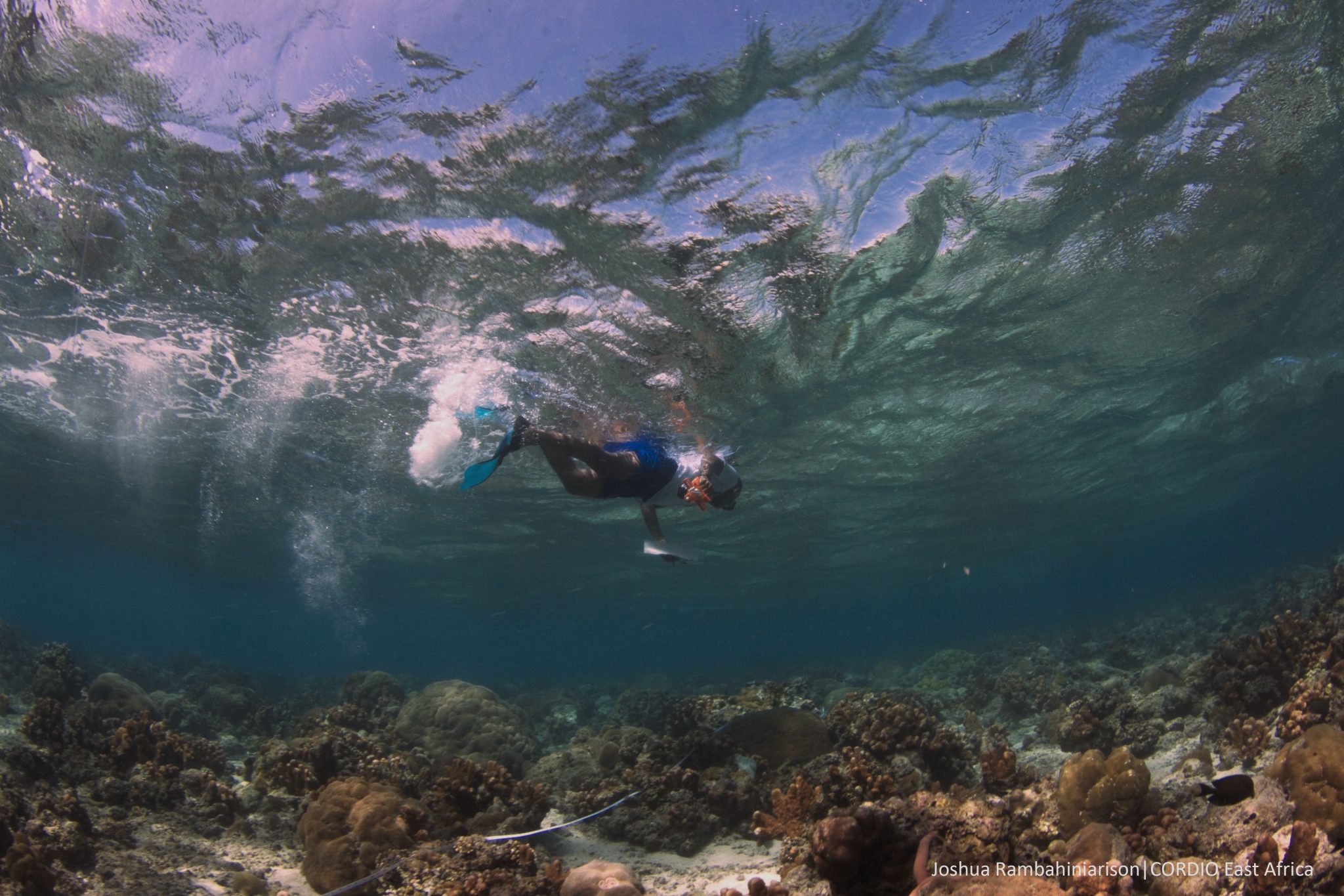 A community member surveys a coral reef.